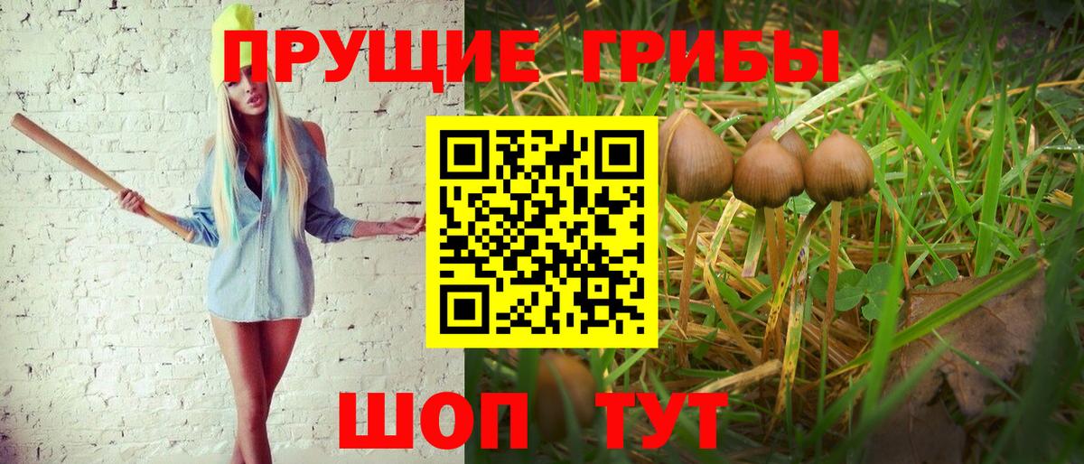 Псилоцибиновые грибы Magic Shrooms Усинск