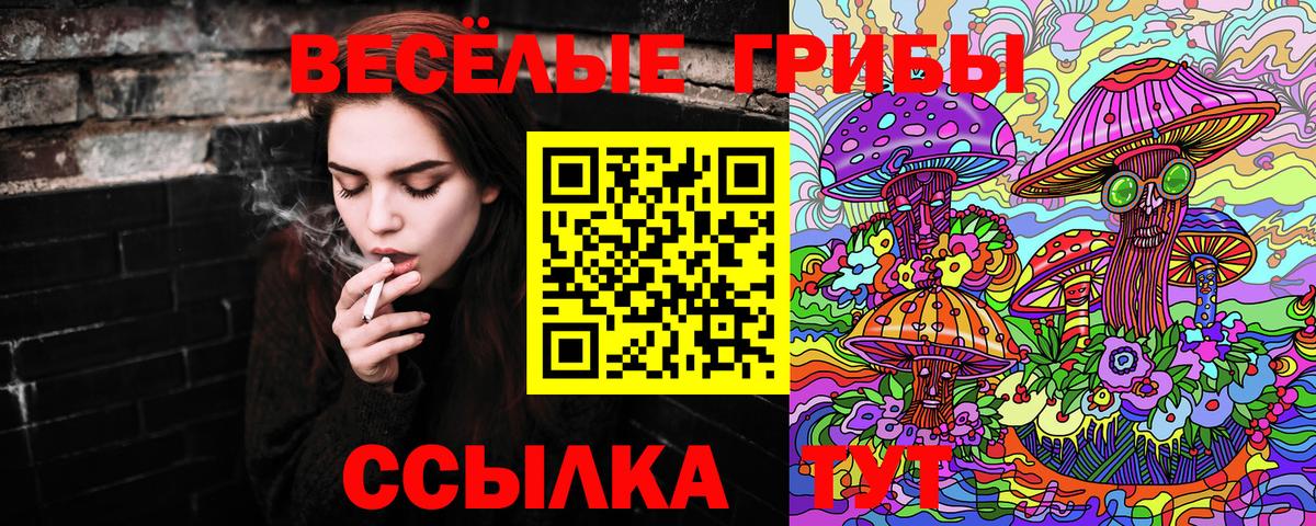 Галлюциногенные грибы Cubensis  Вход с VPN  Усинск 